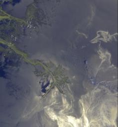 This image acquired on May 24, 2010 by NASA's Terra spacecraft shows oil from the former Deepwater Horizon rig encroaching upon several of Louisiana's wildlife habitats.