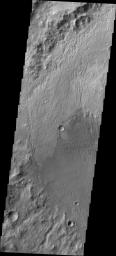 NASA's 2001 Mars Odyssey captured this image of individual dunes located on the floor of Briault Crater.