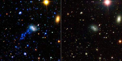 NASA's Galaxy Evolution Explorer found a tail behind a galaxy called IC 3418. This star-studded tail was created as the galaxy plunged into gas in a family of galaxies known as the Virgo cluster.