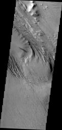 NASA's 2001 Mars Odyssey captured this region of Mars which has been eroded by the wind. Linear hills called yardangs indicate the wind direction, which varies in this area of Medusae Fossae.