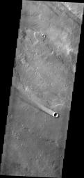 The windstreak in this image from NASA's 2001 Mars Odyssey is located on lava flows from Arsia Mons.