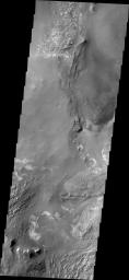 The floor of Melsa Chasma contains a variety of landforms. This image from NASA's 2001 Mars Odyssey shows deposits of fine materials as well as layered deposits.