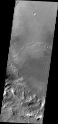 The dunes in this image captured by NASA's 2001 Mars Odyssey are located in an unnamed crater in Terra Cimmeria.