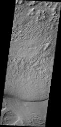 The region southwest of Olympus Mons is covered with materials that have been eroded by the wind. Surface materials in this area indicate wind action in many different directions as shown in this image from NASA's Mars Odyssey.