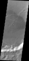 This image from NASA's Mars Odyssey shows sand dunes covering the floor of this unnamed crater in Terra Cimmeria.