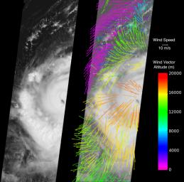 NASA's Multi-angle Imaging SpectroRadiometer instrument captured this image of Hurricane Earl Aug. 30, 2010. At this time, Hurricane Earl was a Category 3 storm. The hurricane's eye is just visible on the right edge of the MISR image swath.