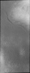 The appearance of the dunes in the North Polar Erg (or sand sea) changes as the seasons move from winter to summer. This summer image from NASA's Mars Odyssey shows the dunes totally free of frost.