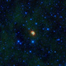 A colorful creature in a starry sea stands out in this image from NASA's Wide-field Infrared Explorer; infrared light that has been assigned visible colors we see with our eyes. The jellyfish-looking object is actually a very close pair of dying stars.