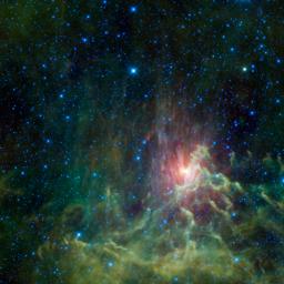 NASA's Wide-field Infrared Survey captured this view of a runaway star racing away from its original home. Surrounded by a glowing cloud of gas and dust, the star AE Aurigae appears on fire. Appropriately, the cloud is called the Flaming Star nebula.