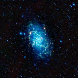 This image captured by NASA's Wide-field Infrared Survey Explorer shows of one of our closest neighboring galaxies, Messier 33. Also named the Triangulum galaxy, M33 is one of largest members in our small neighborhood of galaxies -- the Local Group.