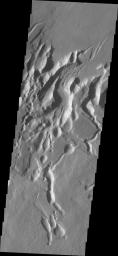 Arsia Chasmata is a complex collapsed region at the northeastern flank of Arsia Mons. The collapsed region aligns with the Pavonis and Ascraeus Mons volcanoes on Mars as seen by NASA's Mars Odyssey spacecraft.