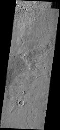 Avenus Colles is a region of 'hills' separated by arcuate fractures. These features are the margin between the southern highlands and Elysium Planitia to the north. This image was captured by NASA's Mars Odyssey.