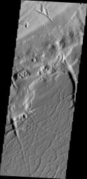 This image captured by NASA's Mars Odyssey shows a portion of the northern branch of Kasei Valles.