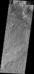 This image from NASA's Mars Odyssey shows a small portion of two landslide deposits within Melas Chasma.