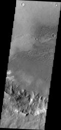 These dunes are located on the floor of an unnamed crater in Terra Cimmeria in this image captured by NASA's Mars Odyssey spacecraft.