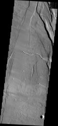 Ceraunius Fossae is the region of fractures and volcanic flows south of Alba Mons shown in this image captured by NASA's Mars Odyssey.