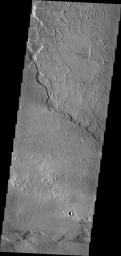 This image from NASA's Mars Odyssey shows different flow surfaces in Daedalia Planum.