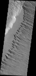 This ridge of material on the northern end of Gordii Dorsum is being reduced in size by the erosive effect of the wind in this image captured by NASA's Mars Odyssey.