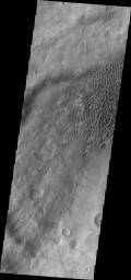 Dune fields are common in the topographic lows in the Aonia Planum and Aonia Terra region as captured by NASA's Mars Odyssey.