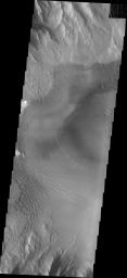 Dune forms cover the top of this sand sheet on the floor of Juventae Chasma, a chasma north of the Valles Marineris canyon system in this image from NASA's Mars Odyssey.