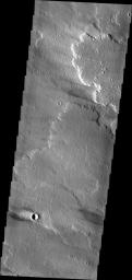 This windstreak is located on the volcanic plains of Daedalia Planum as seen by NASA's Mars Odyssey. The dark outer margin is the region of dust being removed from the surface. The inner bright part is where dust is being deposited.
