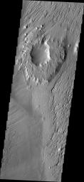 The ejecta materials of this crater are more resistant to erosion than the surrounding materials. The wind has eroded pits and other features around the crater causing it to become a topographic high. This image is from NASA's Mars Odyssey.