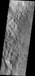 Sand is common in the region of Juventae Chasma as shown in this image from NASA's Mars Odyssey.