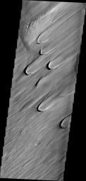 On Earth, these wind-derived features are called 'blowouts,' where the force of the wind has carved out a crescent-shaped depression in soft, uncemented material like glacial loess. This image is from NASA's Mars Odyssey.