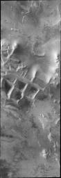 This image from NASA's Mars Odyssey of the south pole shows a surface texture called 'thumbprint,' for its uncanny resemblance to human fingerprints.