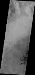 Individual dunes are seen on the floor of Arkhangelsky Crater in Noachis Terra by NASA's Mars Odyssey.