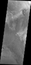 These dunes are moving along the hard volcanic surface Nili Patera in Syrtis Major. This image was captured by NASA's Mars Odyssey.