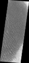 This image from NASA's 2001 Mars Odyssey shows dunes located on the floor of Proctor Crater.