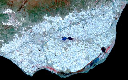 Surrounding the town of El Ejido, Almeria Province, southern Spain is a sea of greenhouses, stretching for tens of kilometers as shown in this image from NASA's Terra spacecraft.