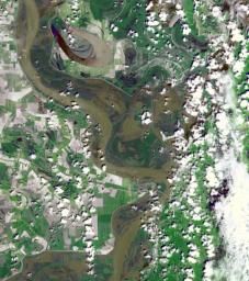 At the time NASA's Terra spacecraft acquired this image, the Mississippi River had reached a level of 53 feet (16.2 meters), 3 feet (1 meter) above the major flood stage. Flood water had already inundated parts of Vicksburg, Mississippi.