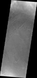 The dunes shown in this image from NASA's 2001 Mars Odyssey are located on the floor of Hussey Crater in Terra Sirenum.