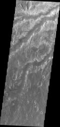 This image from NASA's 2001 Mars Odyssey shows a few of the many channels named (in this case Arda Valles) and unnamed that empty into a large low in Margaritifer Terra.