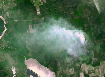 The Espanola wildfire had consumed more than 4,300 acres when the Advanced Spaceborne Thermal Emission and Reflection Radiometer (ASTER) instrument aboard NASA's Terra spacecraft acquired this image on June 16, 2011, over Flagler County, Fla. 