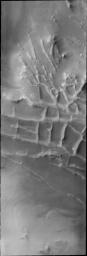 The orthogonal ridges in this image captured by NASA's 2001 Mars Odyssey spacecraft are located near the south polar cap of Mars.