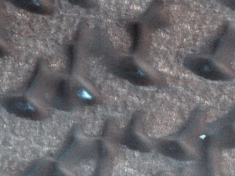 These dark sand dunes in the North polar region, basking in the sunshine of late spring, have shed most of their seasonal layer of winter ice in this image from NASA's Mars Reconnaissance Orbiter.