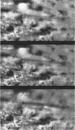 These three sequential images of an erupting volcano on Neptune's large moon Triton were taken by NASA's Voyager 2 as the spacecraft approach the moon on Aug. 26, 1989.