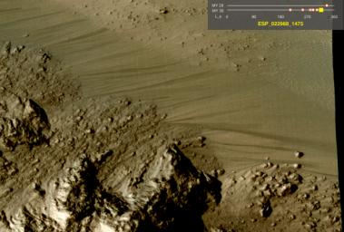 This image comes from observations of Horowitz crater by the HiRISE camera onboard NASA's Mars Reconnaissance Orbiter. The features that extend down the slope during warm seasons are called recurring slope lineae.