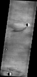 This image captured by NASA's 2001 Mars Odyssey spacecraft show windstreaks found on Daedalia Planum.