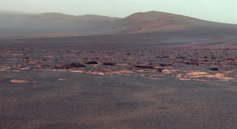 A portion of the west rim of Endeavour crater sweeps southward in this image from NASA's Mars Exploration Rover Opportunity. The view is presented in false color to emphasize differences among materials in the rocks and the soils.