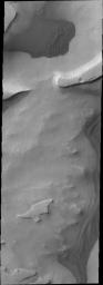 The dunes in this image captured by NASA's 2001 Mars Odyssey spacecraft sare located in the depressions of Sisyphi Cavi.