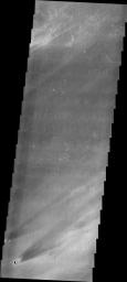 The windstreaks in this image captured by NASA's 2001 Mars Odyssey spacecraft are located on Tharsis volcanic flows east of Pavonis Mons.