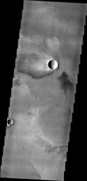 The windstreak in this image from NASA's 2001 Mars Odyssey spacecraft is located on the volcanic flows of Daedalia Planum.