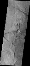 Fractures mark the surface in this region of Margaritifer Terra in this image captured by NASA's 2001 Mars Odyssey spacecraft.