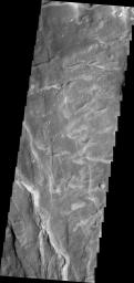 The fractures in this image captured by NASA's 2001 Mars Odyssey spacecraft are part of Claritas Fossae. Note the small, bright dunes in the deep furrow on the bottom left of the image.
