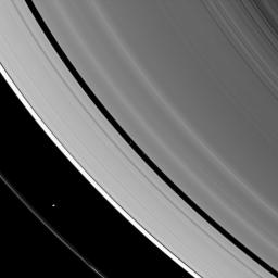 The ring-region Saturnian moons Prometheus and Pan are both caught 'herding' their respective rings in this image from NASA's Cassini spacecraft.
