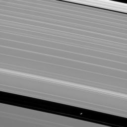 The shepherd moon Pan orbits Saturn in the Encke gap while the A ring surrounding the gap displays wave features created by interactions between the ring particles and Saturnian moons in this image from NASA's Cassini spacecraft.